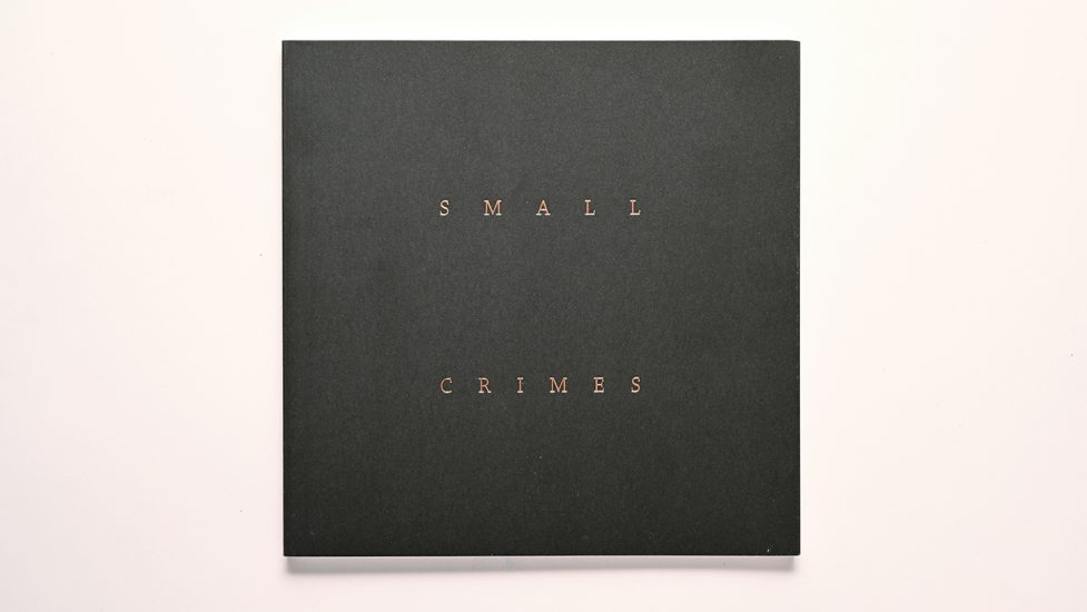 001_Small Crimes Book copy